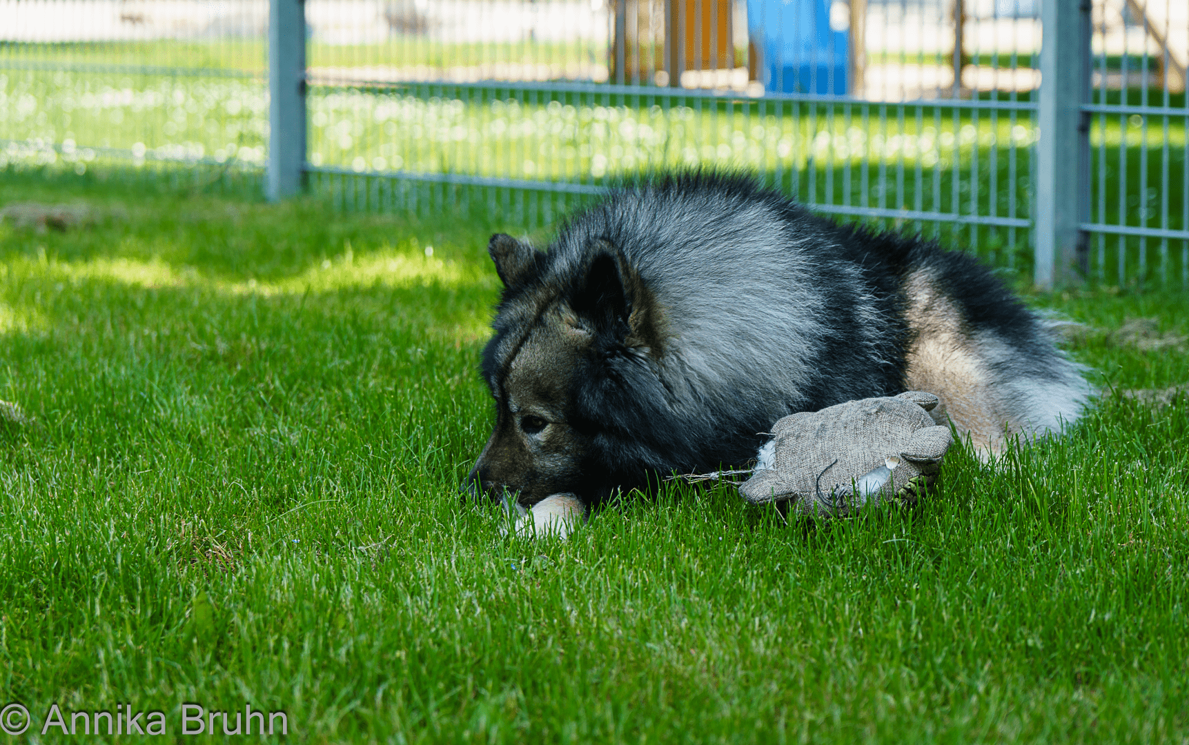 Beleidigte Leberwurst